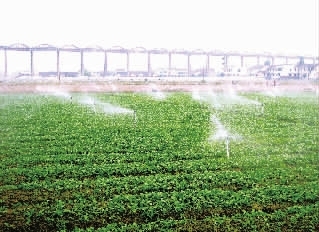 <b>你確定你真的了解大量元素水溶肥嗎？</b>