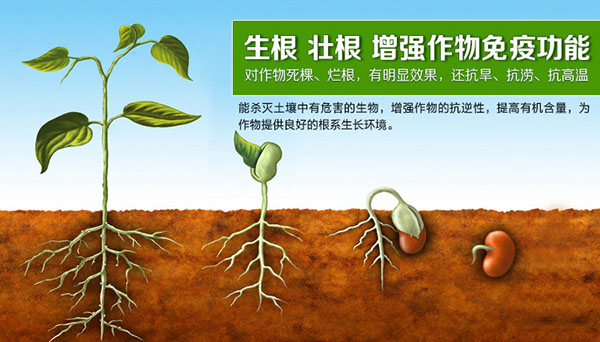 <b>為什么要用含腐植酸水溶肥？有哪些優(yōu)勢(shì)？</b>