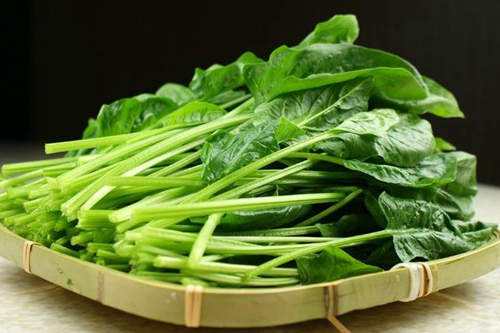 <b>越冬菠菜如何施肥才可保高產(chǎn)？</b>