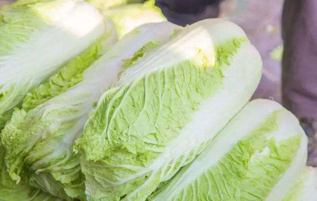 <b>秋白菜不同生長期應(yīng)如何施肥？</b>