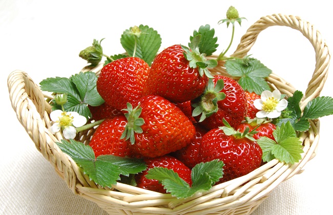 <b>草莓施什么水溶肥果大味甜？</b>