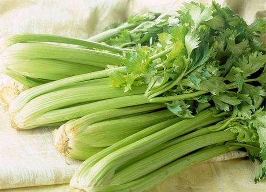 <b>芹菜缺硼缺鈣的原因有哪些？如何防治？</b>