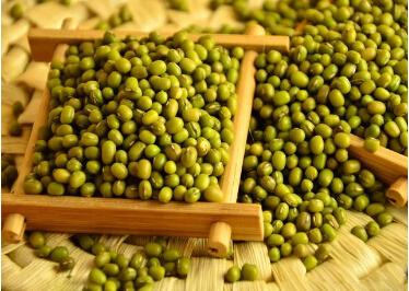 <b> 種植綠豆應(yīng)當(dāng)如何施肥？</b>