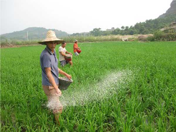 氮磷鉀使用過(guò)量會(huì)帶來(lái)哪些危害？