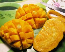 <b>芒果想高產(chǎn)，施肥是關(guān)鍵！</b>