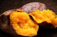 <b>紅薯種植想高產(chǎn)，這幾個“雷區(qū)”需注意</b>
