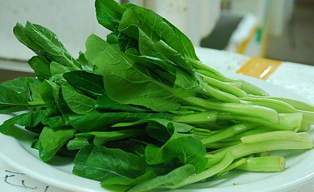 菜心施用水溶肥的技術