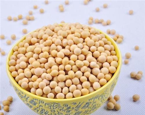 黃豆應(yīng)該怎么施肥？