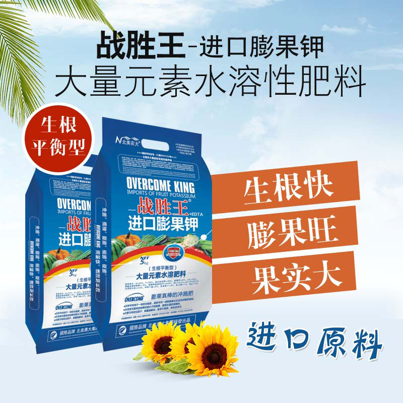 甜瓜用什么沖施肥好？怎么讓甜瓜更甜