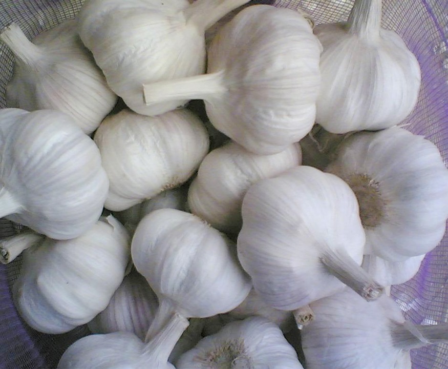 大蒜生長期應(yīng)用微量元素肥？