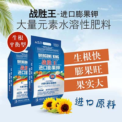 西蘭花應(yīng)該如何施肥？水溶肥怎么施用？