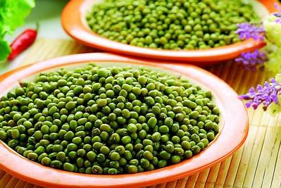 種植綠豆應(yīng)當(dāng)如何施肥？