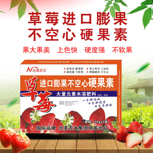 草莓果小怎么辦？草莓膨果不空心的方法！