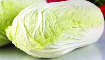怎么施肥防止白菜不包心？