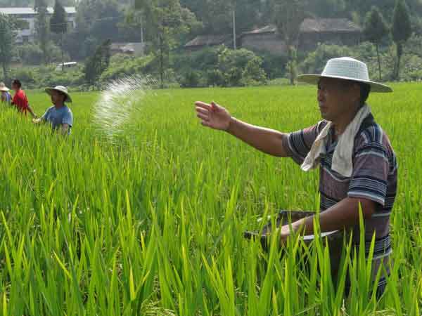 氮磷鉀使用過(guò)量會(huì)帶來(lái)哪些危害？