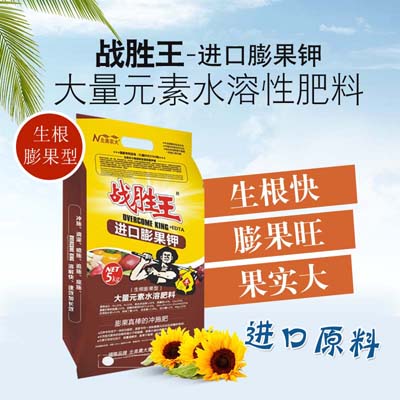 南瓜怎么施肥提高產(chǎn)量？南瓜的施肥要點