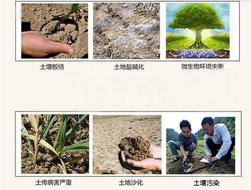 海藻酸、腐殖酸、甲殼素……到底哪個好用？