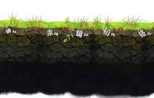 海藻酸、腐殖酸、甲殼素……到底哪個好用？